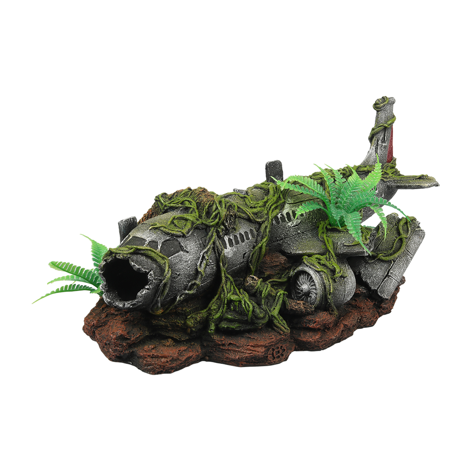 Terra Della Jungle Airplane Wreck