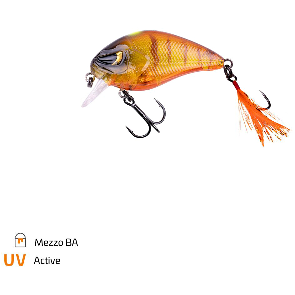 Zeck Danny (Mezzo BA)