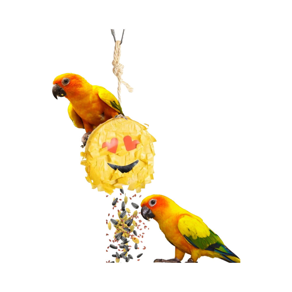 Petlala Emoji Pinata