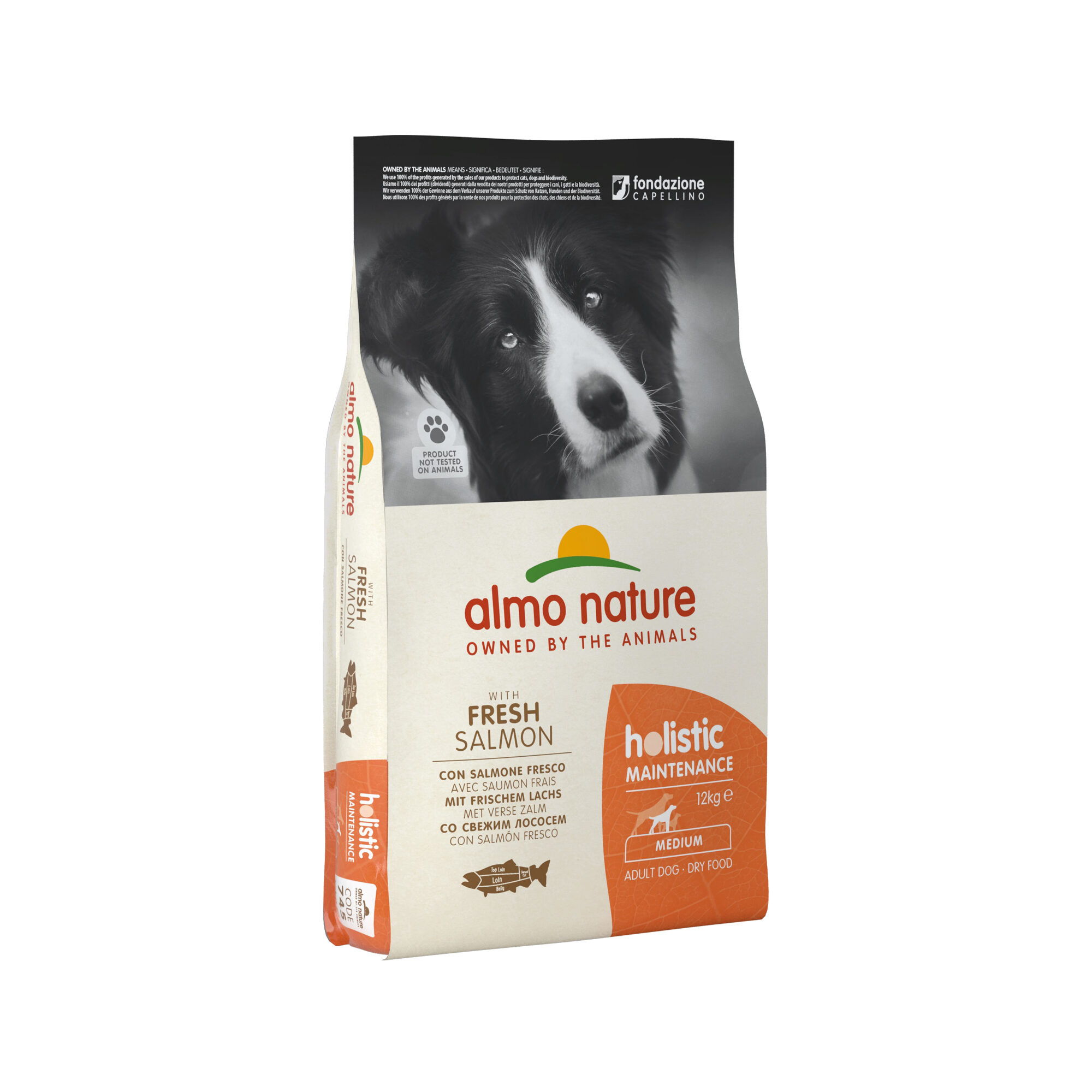 Almo Nature Holistic Maintenance Dog Food - Salmon - M-L - 2 kg