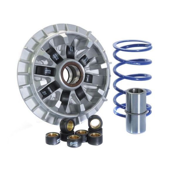 Variateur Polini HI SpeedRef : PN241649 / 1011874