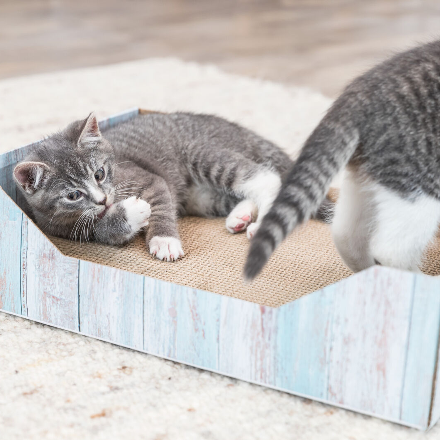 Trixie Scratching Bed - Cardboard - 45 x 12 x 23 cm - Turquoise