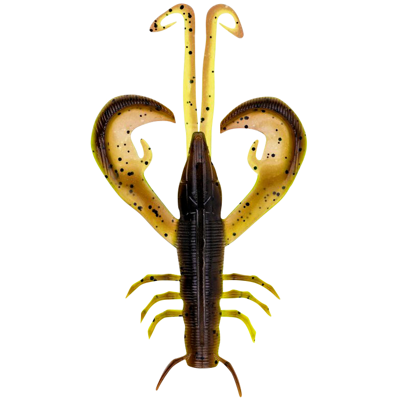 Zeck Edward (Moor Kiwi)