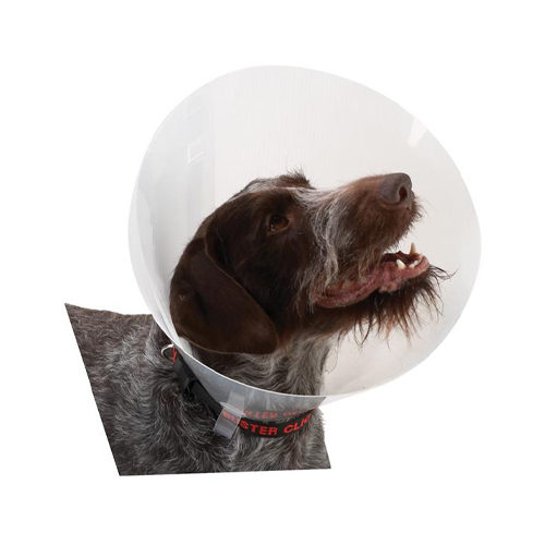 Buster Transparent Classic Collar - Size 4