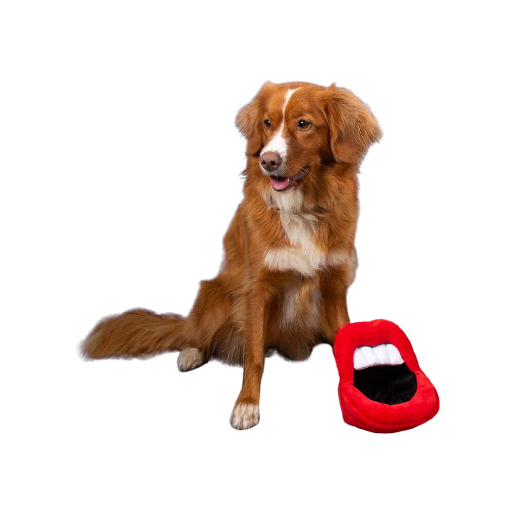 Coockoo Happy Hangry Dog Toy