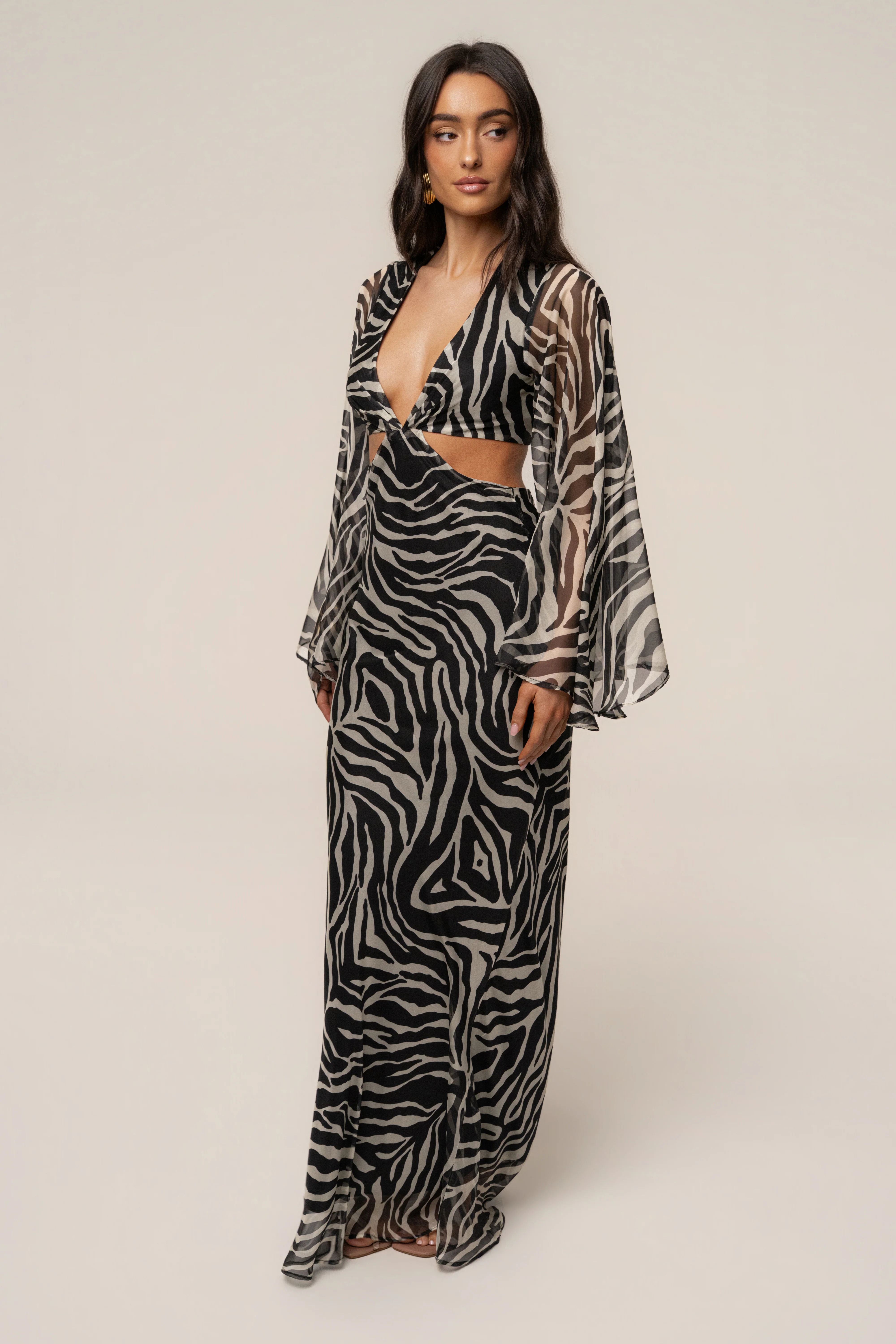 Black Zebra Instincts Print Maxi Dress