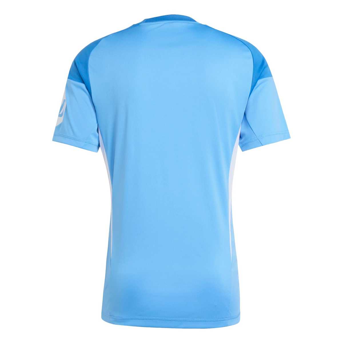 Mens Goalkeeper Shirt 25/26 Blue