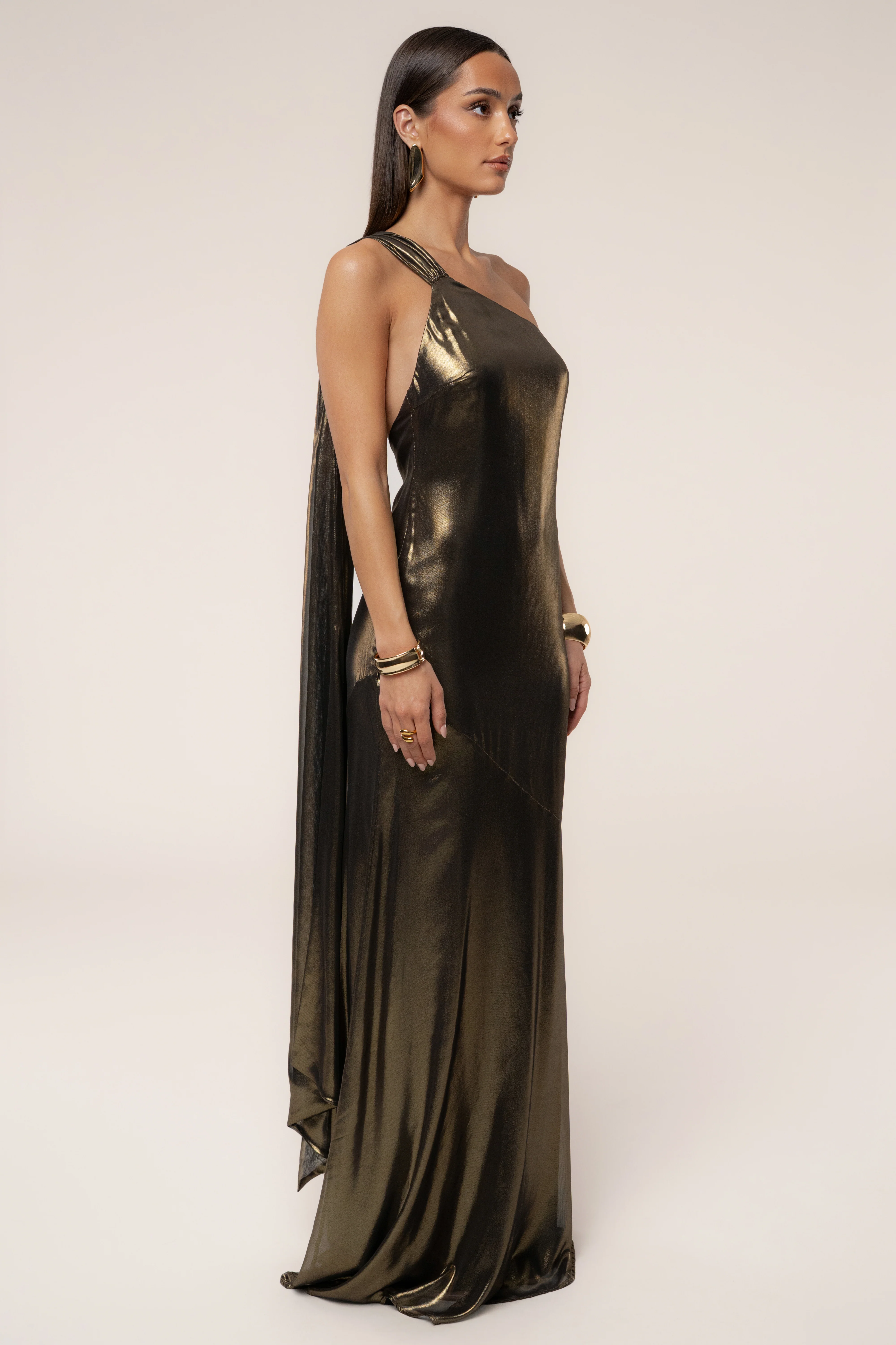 Gold Night Of Elegance Maxi Gown