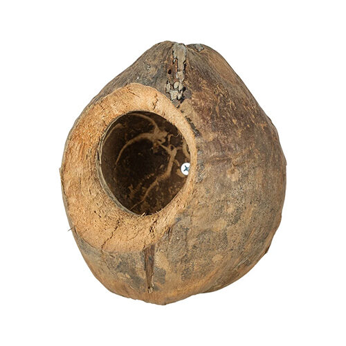 Back Zoo Nature Villa Coconuts