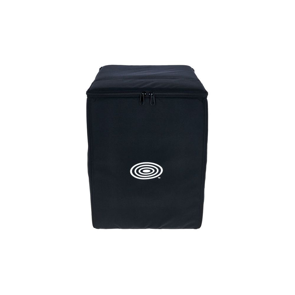 Schertler Gig Bag for Roy – Thomann Ireland