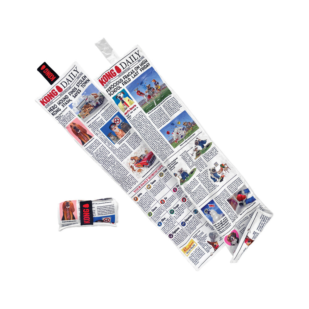 KONG Daily Newspaper XL