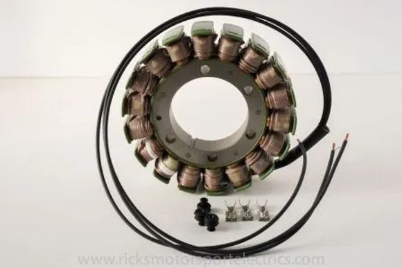 Stator d'allumage Rick's Motosport Electric Remplacement OERef : RICK00213A / 21121297