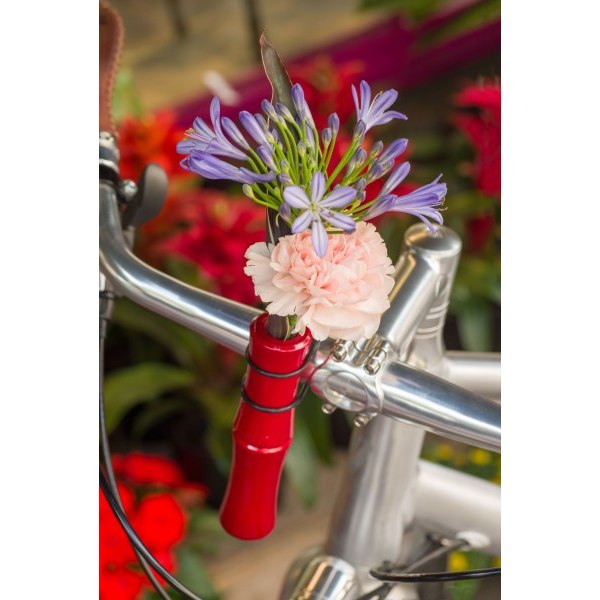 Liix Handlebar Vase Bamboo - Red