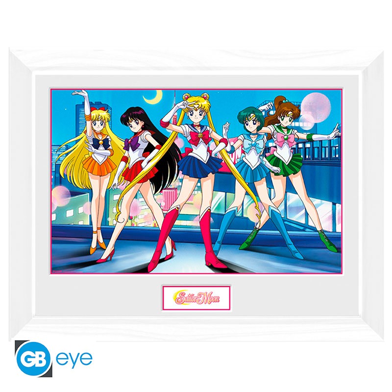 SAILOR MOON Framed print Group (white frame)