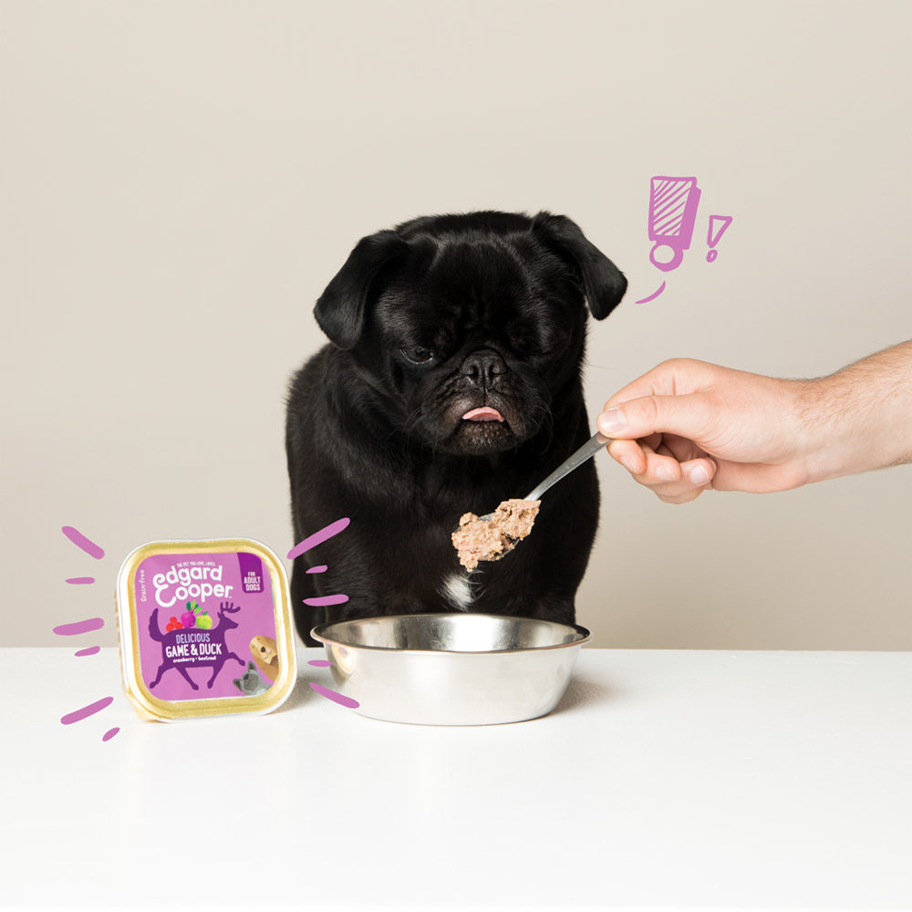 Edgard & Cooper Adult - Game & Duck - 11 x 150g