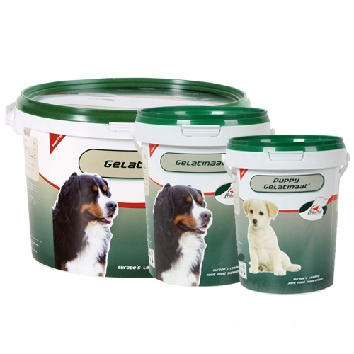 PrimeVal Gelatinate for Dogs - 2kg