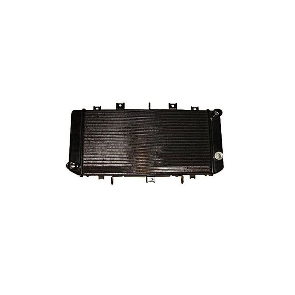 Radiateur Brazoline A EAU ADAPTABLERef : RA1430