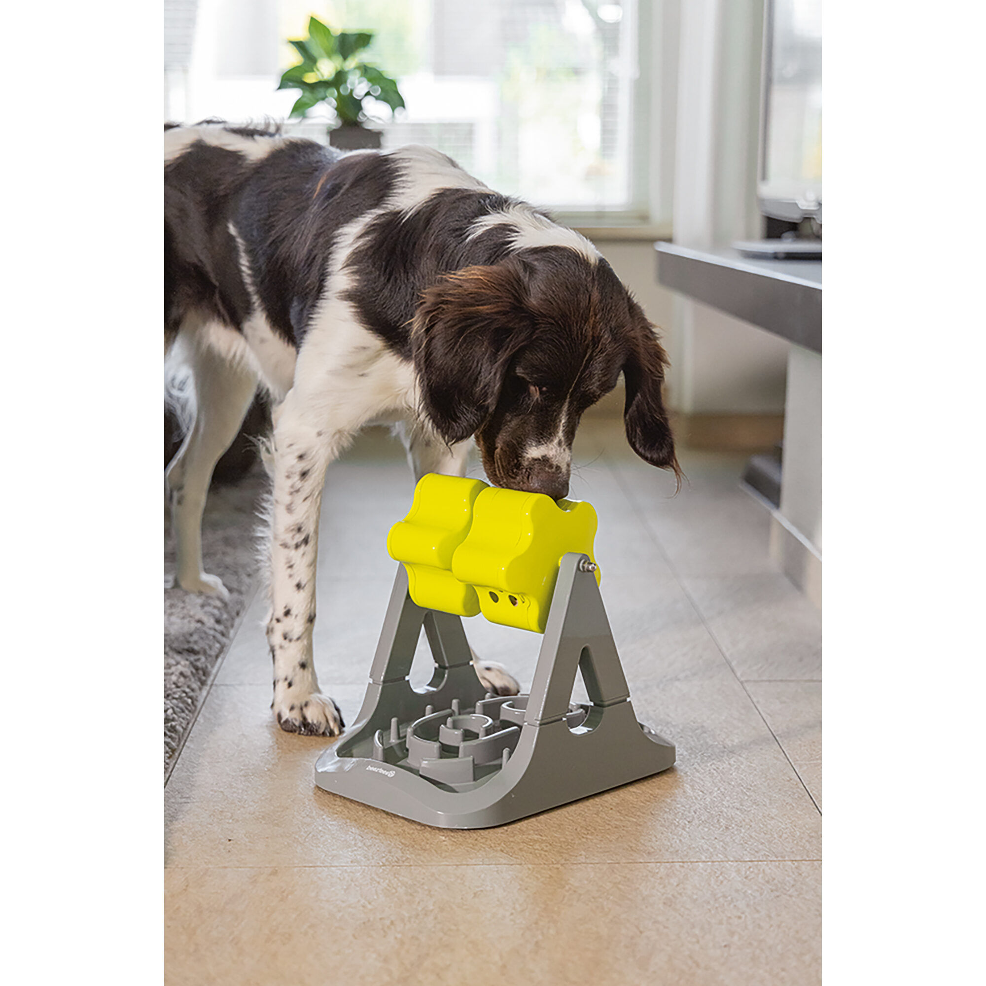 Beeztees Brain Game Rodar