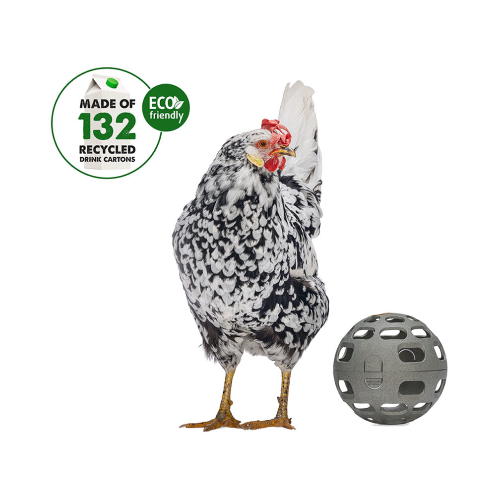 Beeztees Chicken Snack Ball - 15 cm