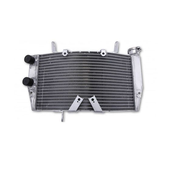 Radiateur Brazoline A EAU ADAPTABLERef : RA5002