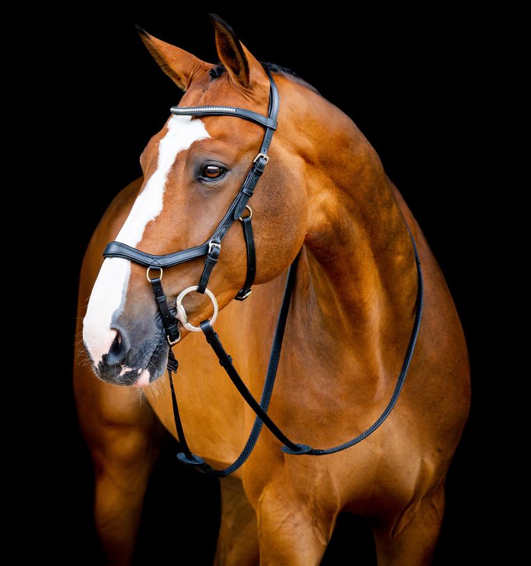 Horseware Micklem® 2 Diamante Competition Bridle