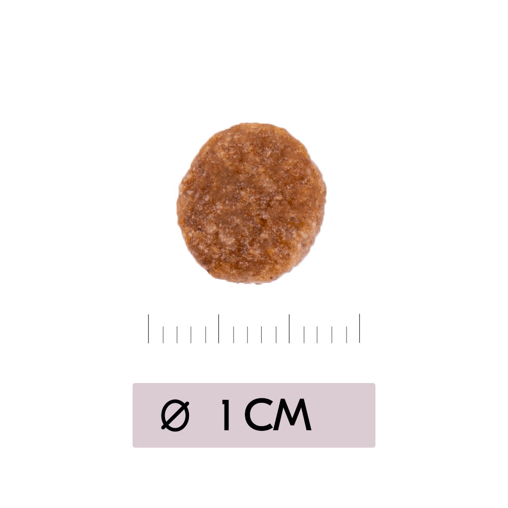 Vetality Renal Cat - 2kg