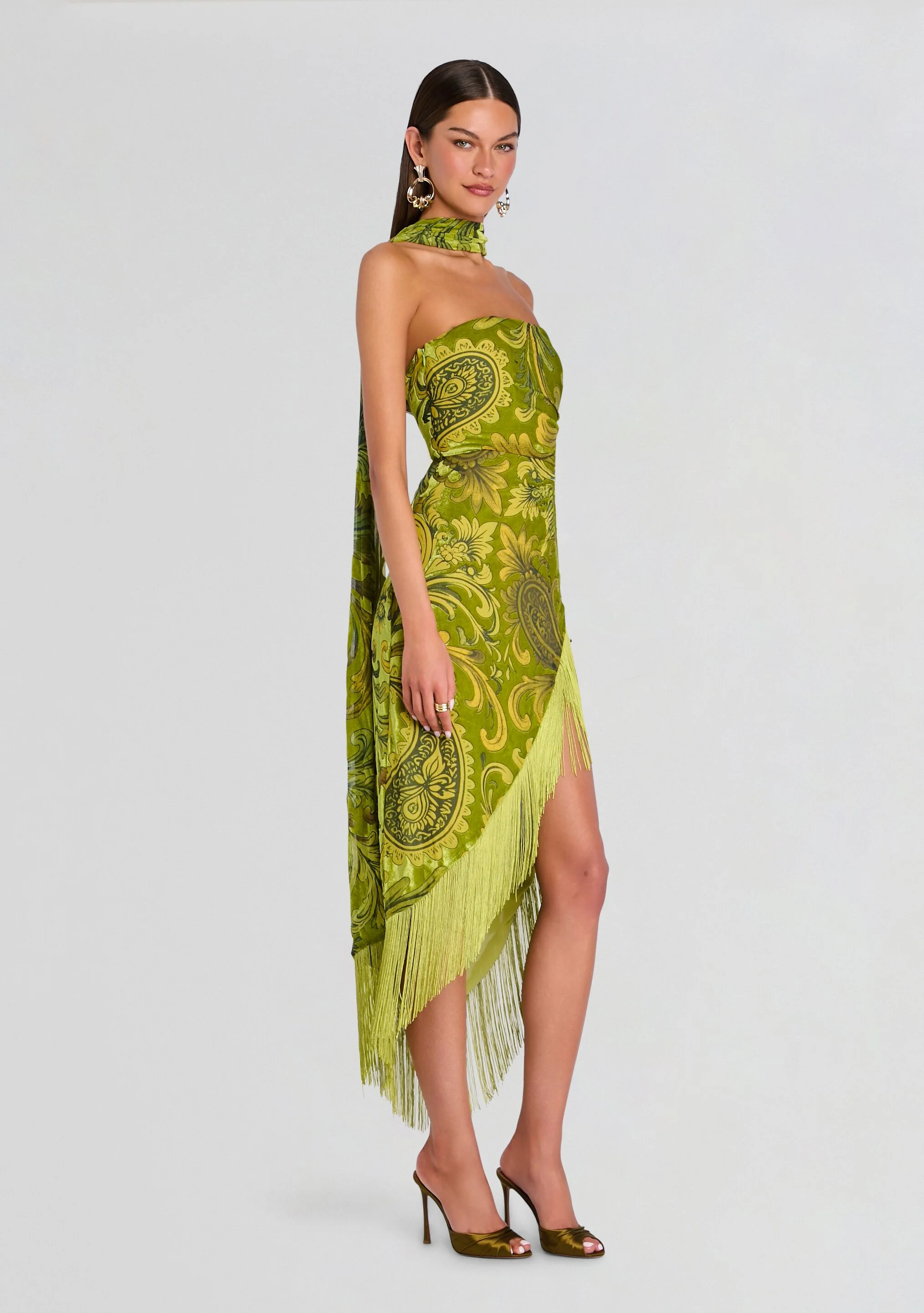 Statice Velvet Dress