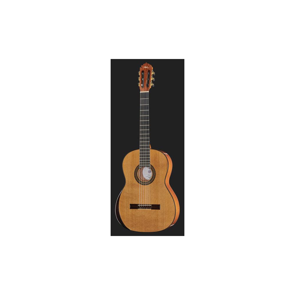 Manuel Rodriguez Superior A