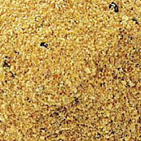 Paladin Ready-made Feed (Allround Vanilla)