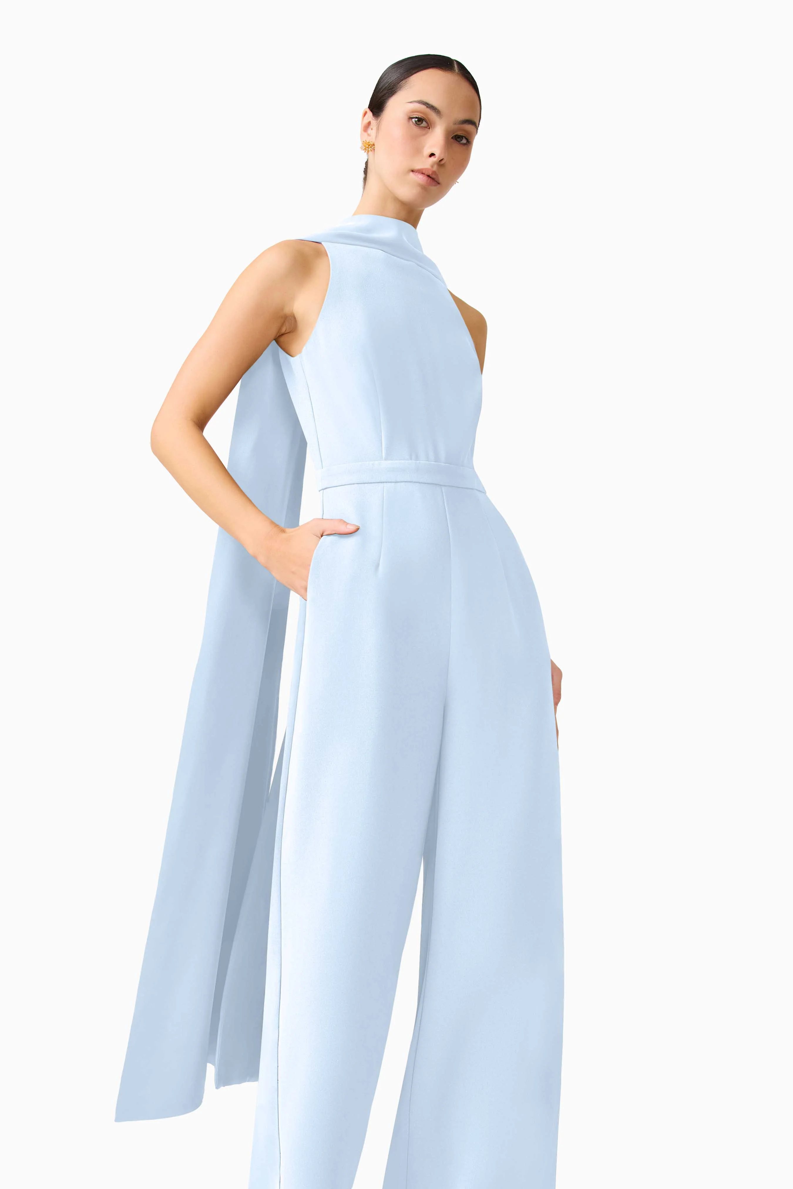 Anaya Wide Leg Jumpsuit in Blue