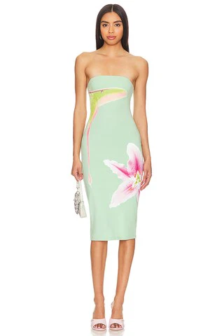 Luna Moth Dress