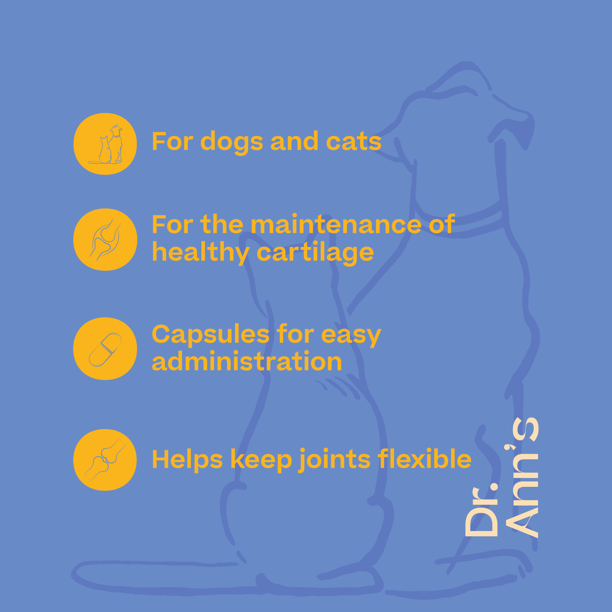 Dr. Ann's Mobility Support Plus - 2 x 30 capsules