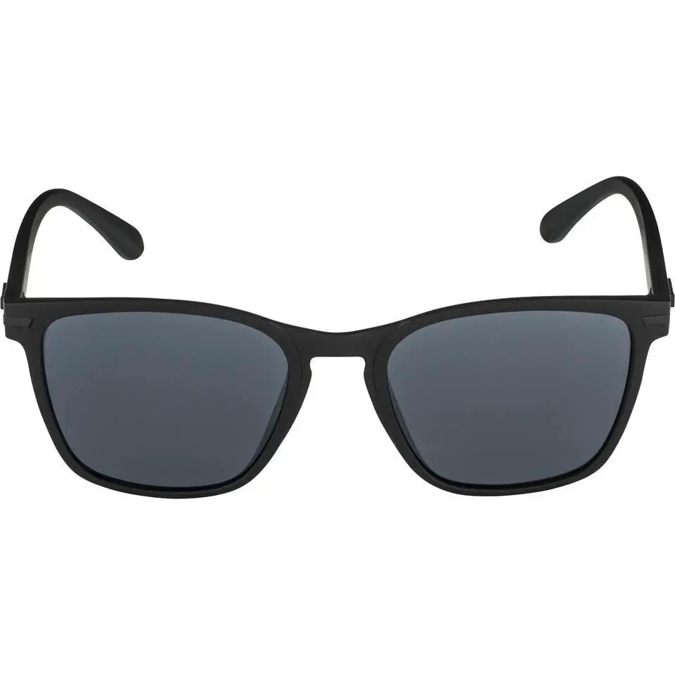 Alpina Yefe Glasses - all black matt/black mirror