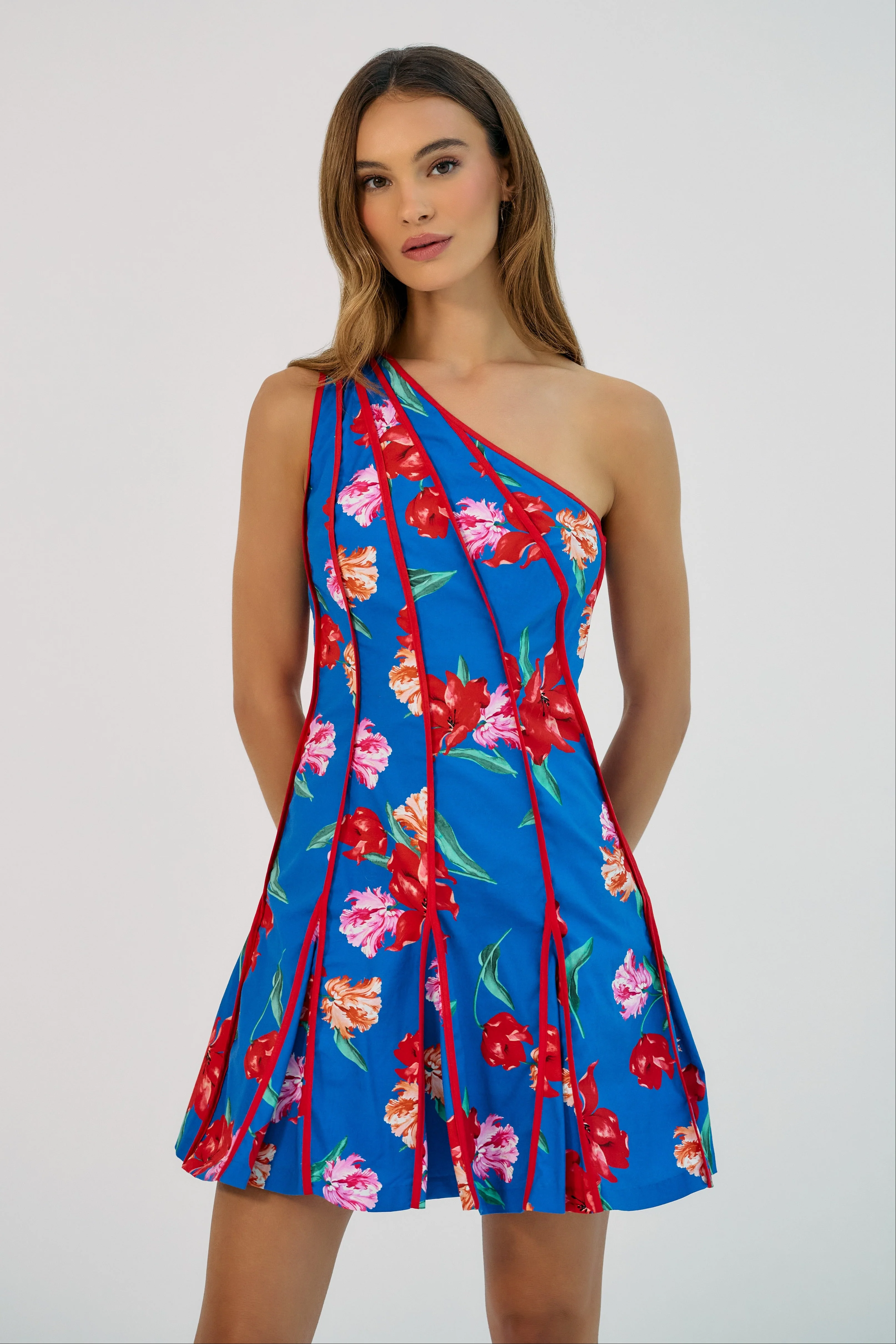 Nadetta Mini Dress