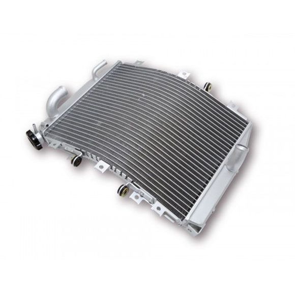 Radiateur Brazoline A EAU ADAPTABLEKAWASAKI 1000 NINJA ZX-10 R (ZX1000C) - 2004 - 2005Ref : RA1111