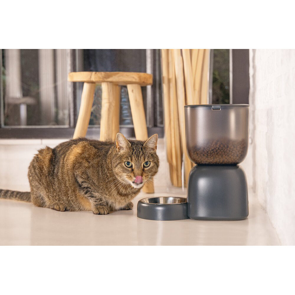 Beeztees Smart Feeding Bowl Chris - White