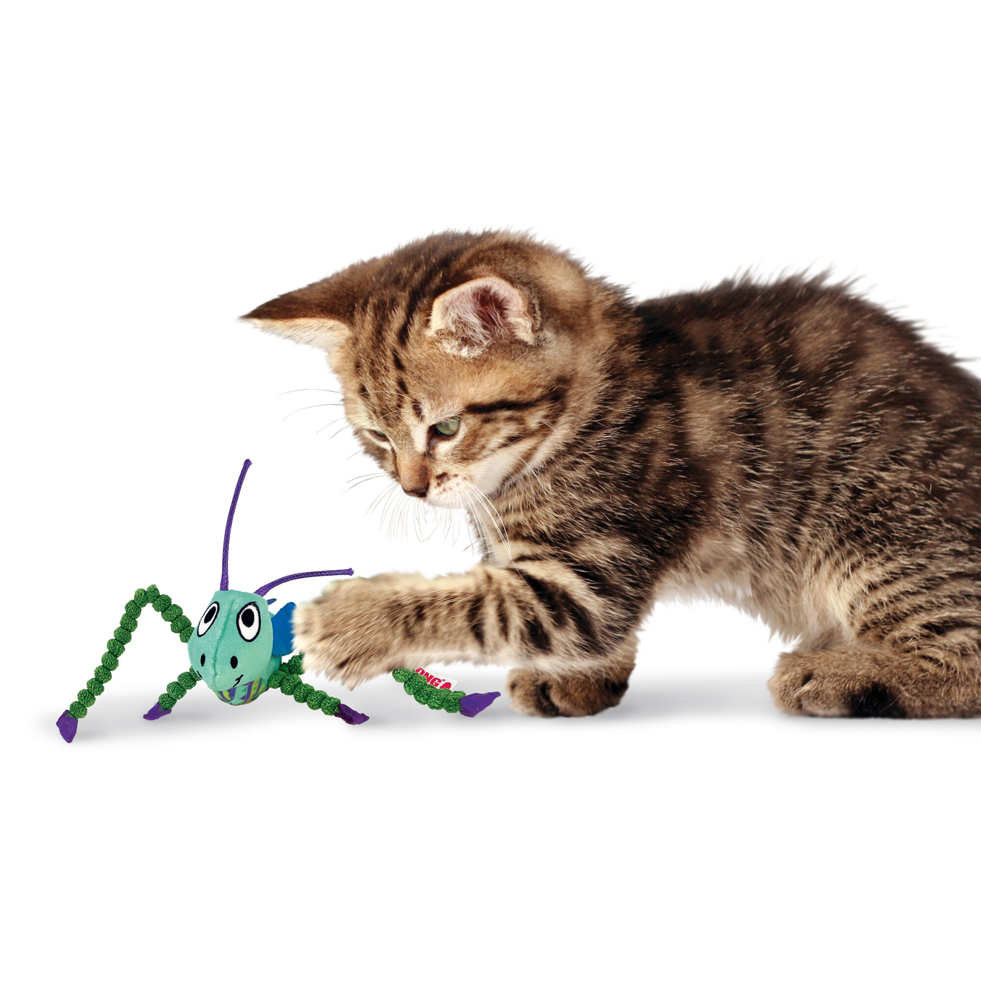 KONG Crackles Grasshopper