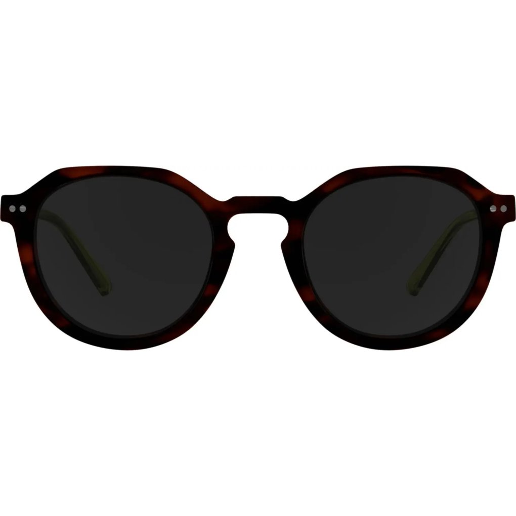 Alpina Sneek 2.0 Glasses - havana-green gloss/black