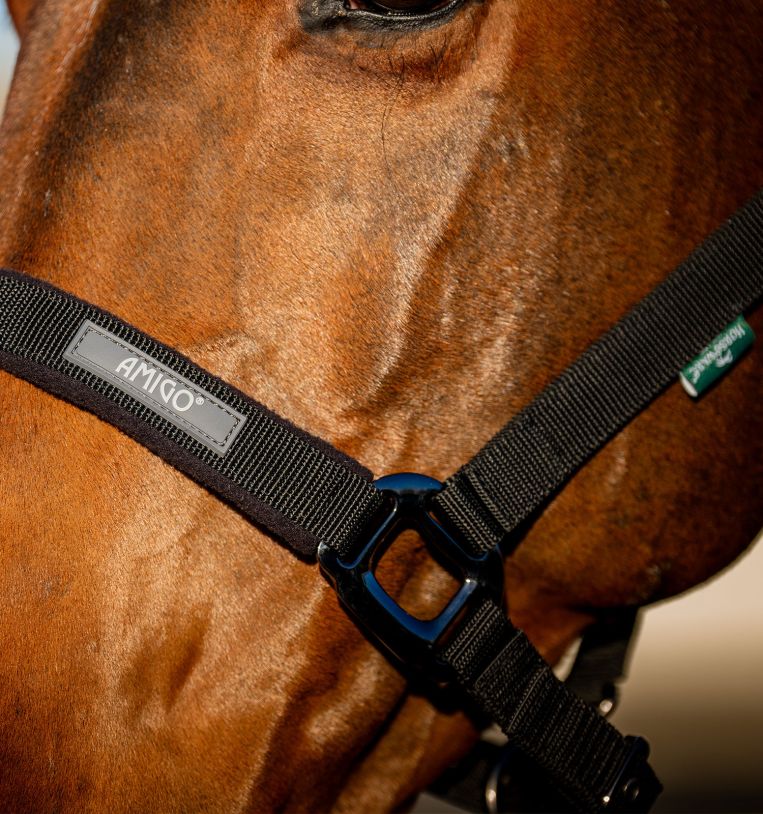 Amigo® Headcollar & Leadrope Set