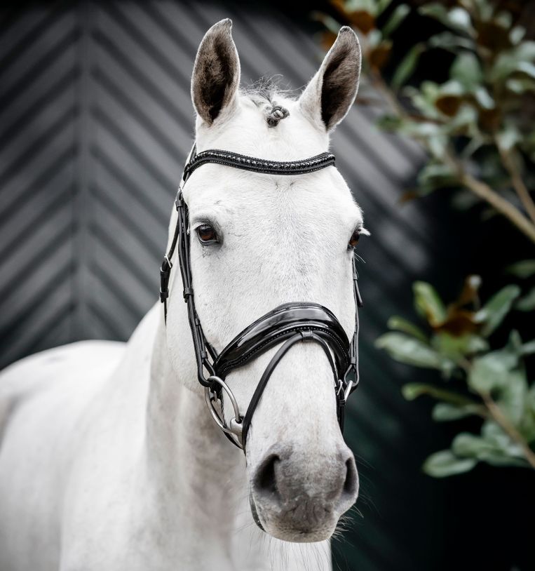 Horseware® Diamante Flash Bridle