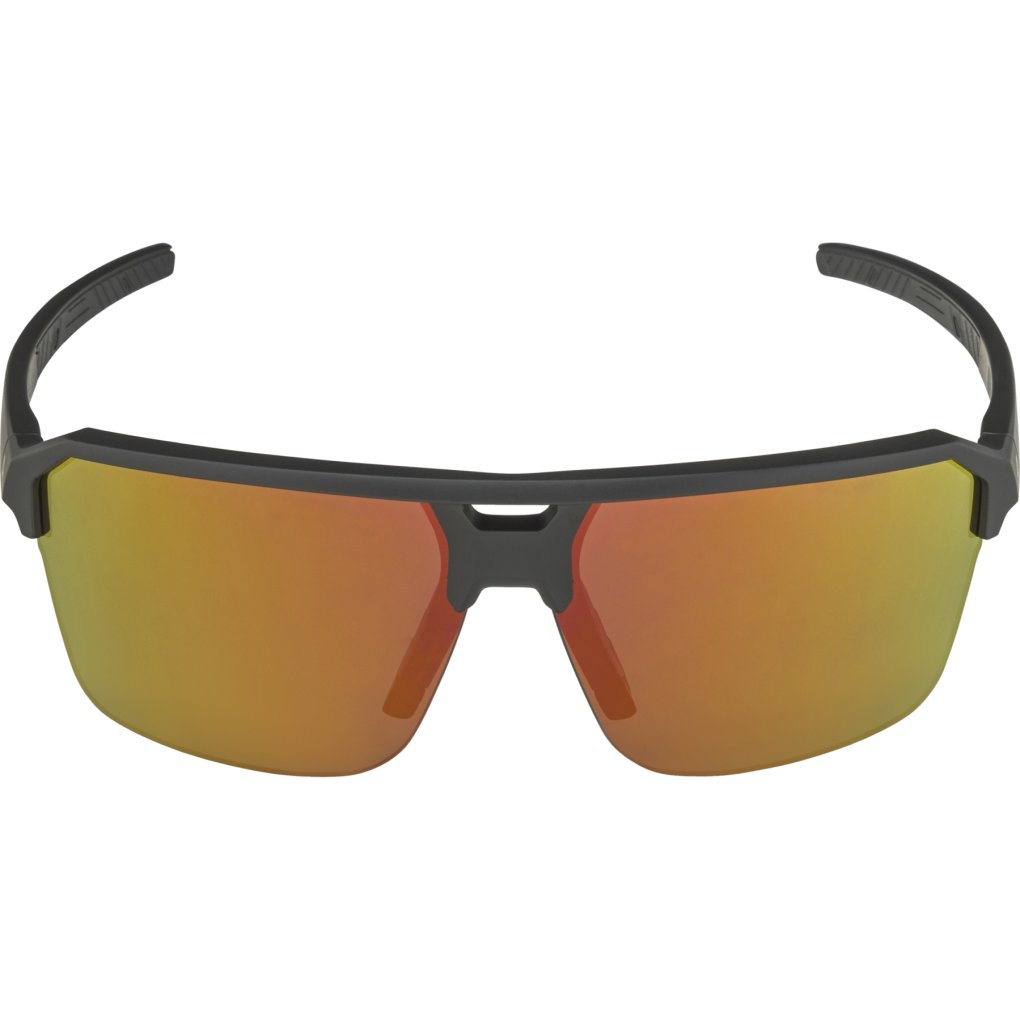 Alpina Swift HR Glasses - black-gold matt/mirror gold