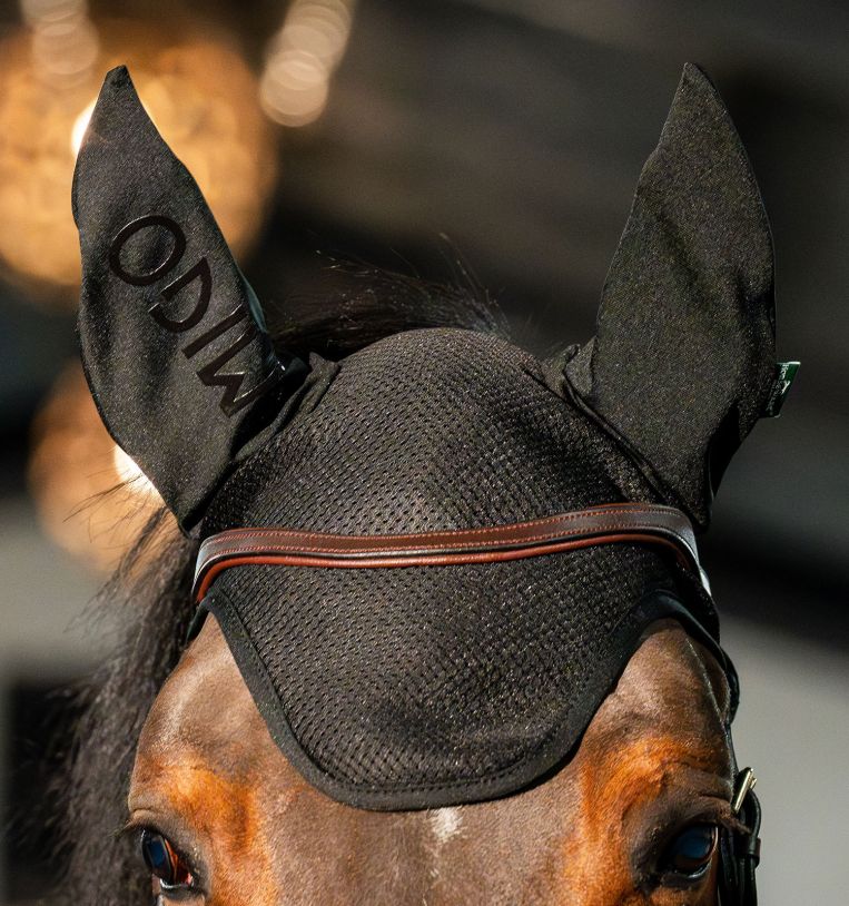 Amigo® Ear Net