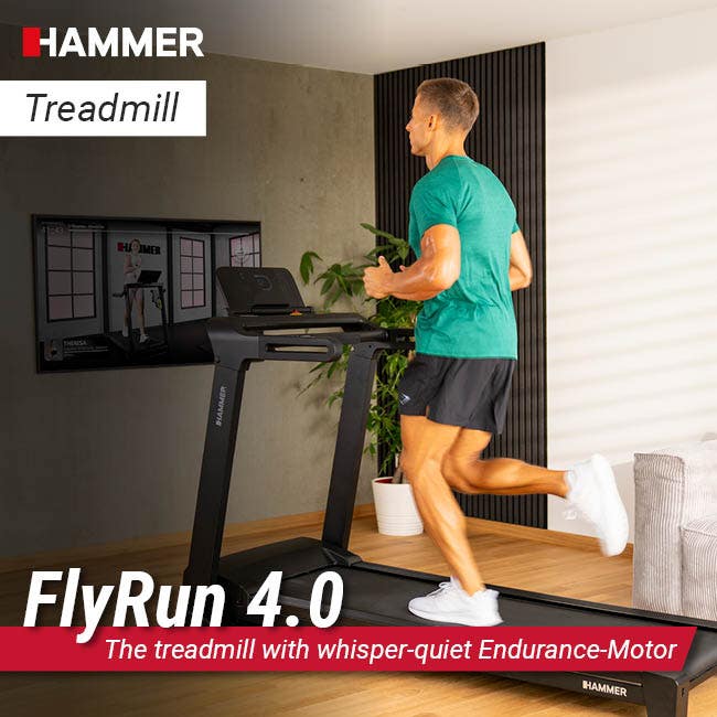 Treadmill FlyRun 4.0