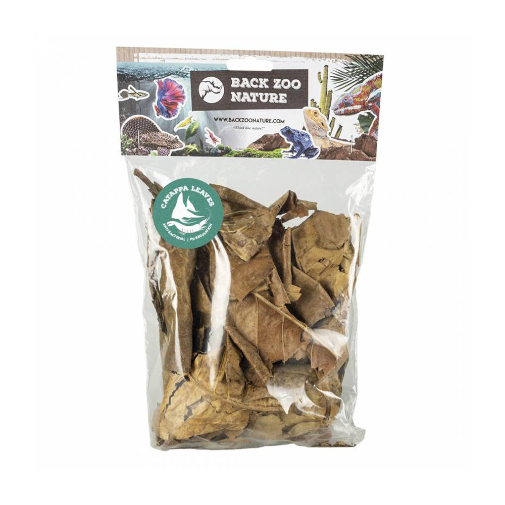 Back Zoo Nature Catappa Leaves - 25g