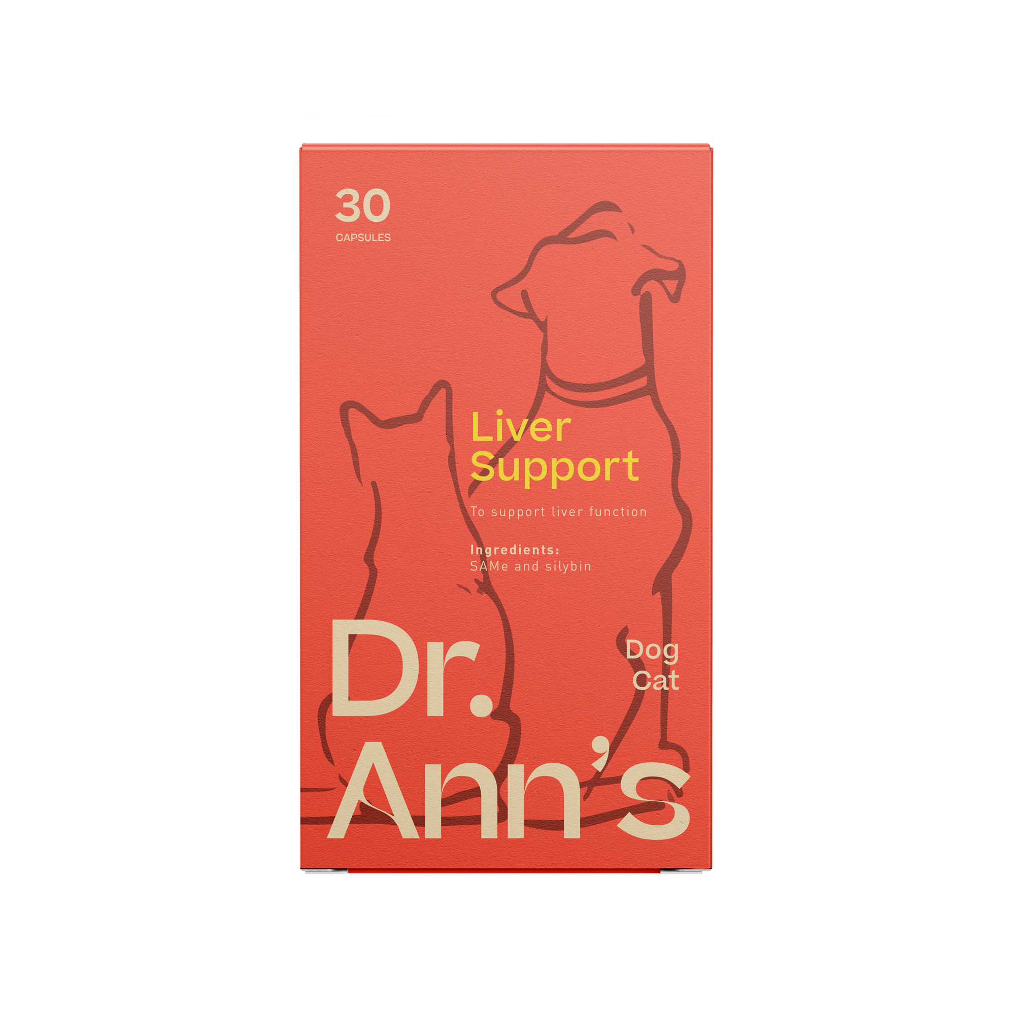 Dr. Ann's Liver Support - 30 capsules