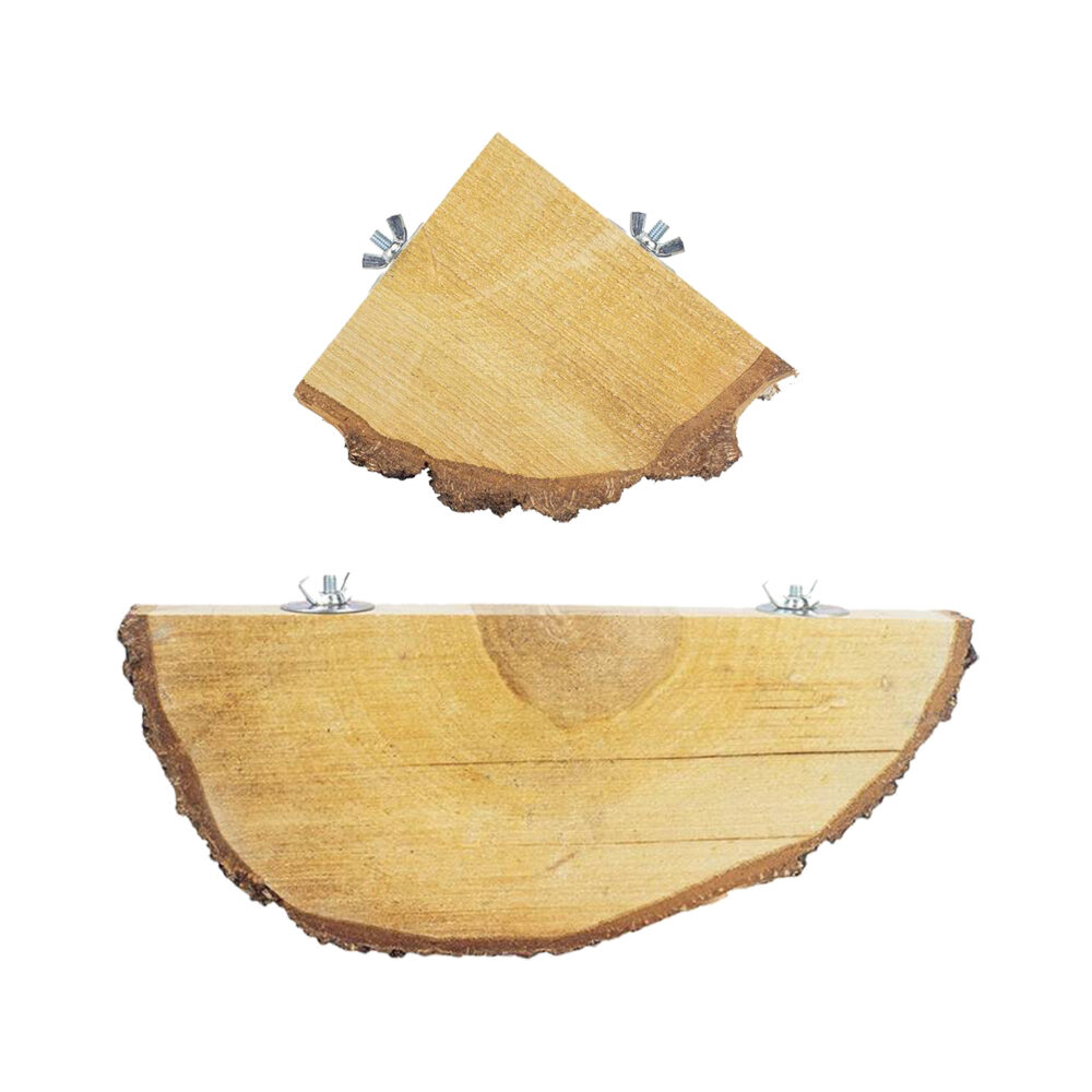 Back Zoo Nature Quarter Wood Slice