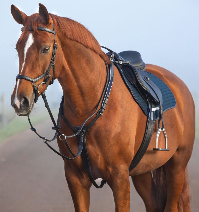 Horseware Micklem® Breastplate Martingale