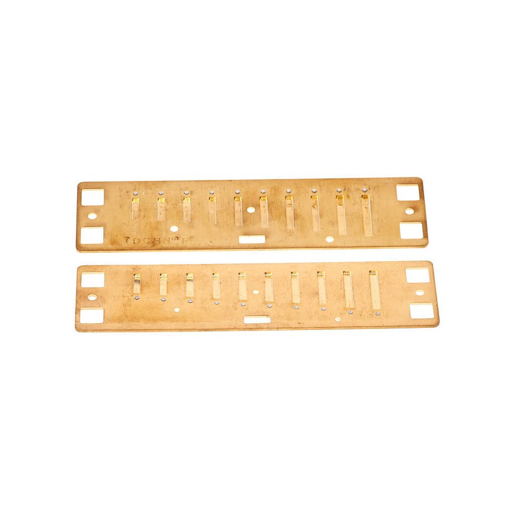 Lee Oskar Natural Minor Reedplates F# – Thomann Ireland
