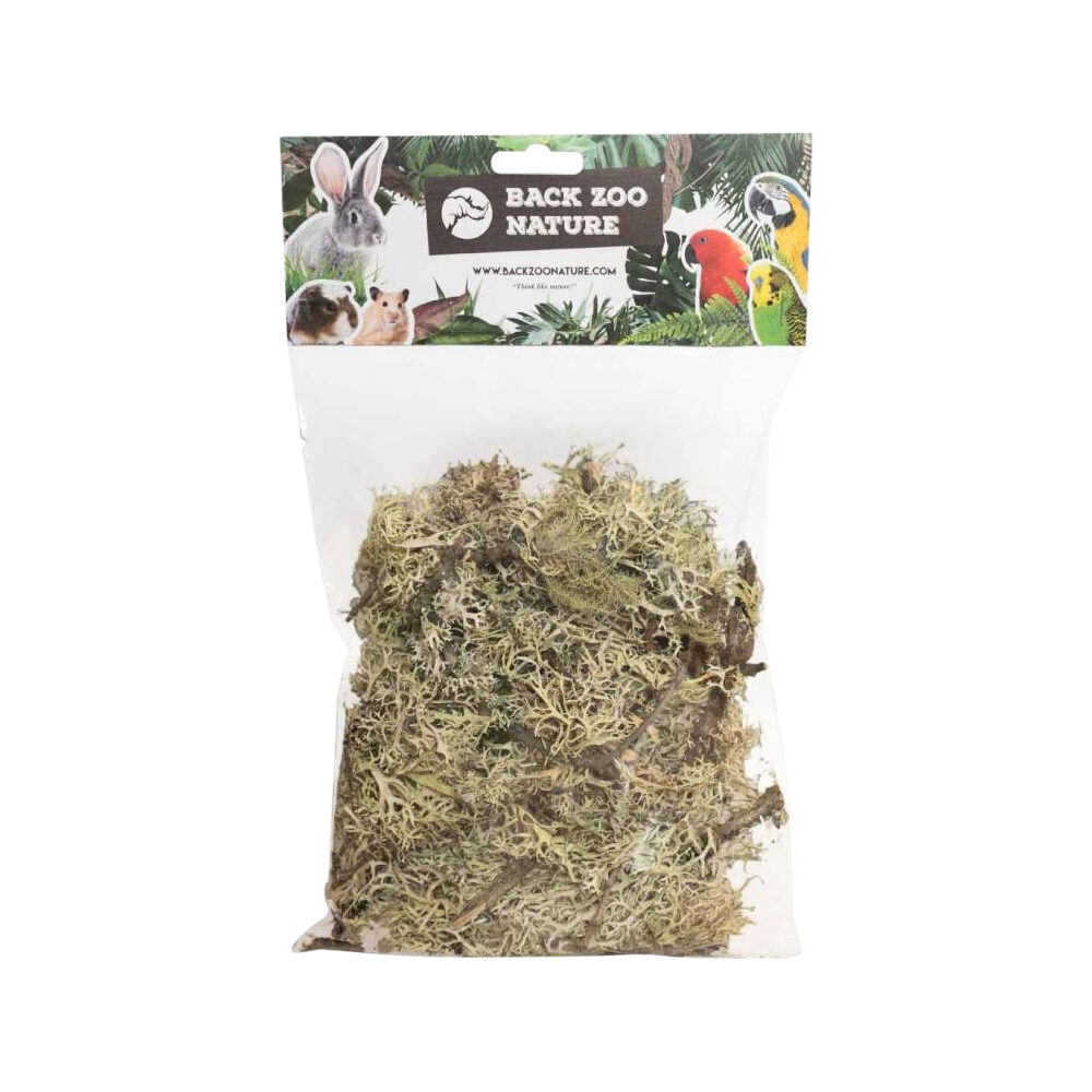 Back Zoo Nature Branch Moss