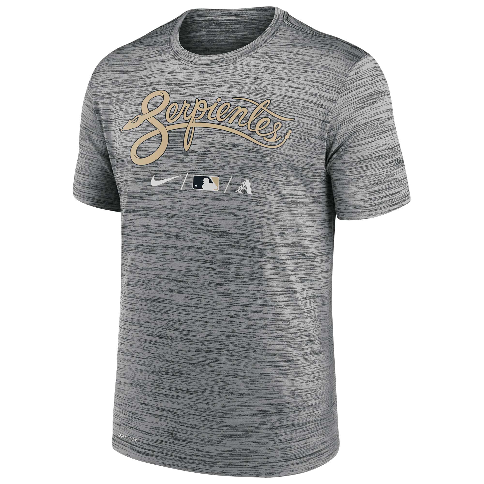 Arizona Diamondbacks 2021 City Connect Nike Authentic Practice MLB T-Shirt